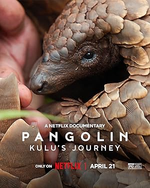 Pangolin: Kulu’s Journey