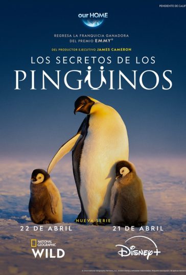 Secrets of the Penguins