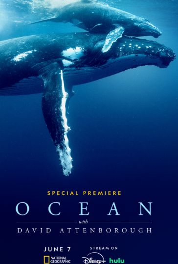Ocean with David Attenborough