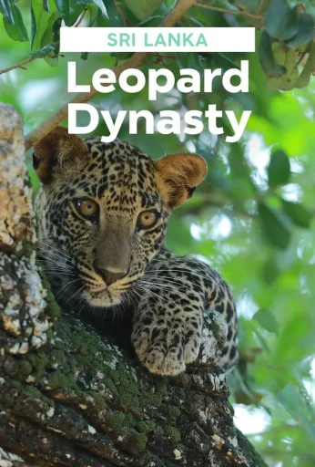 Sri Lanka: Leopard Dynasty