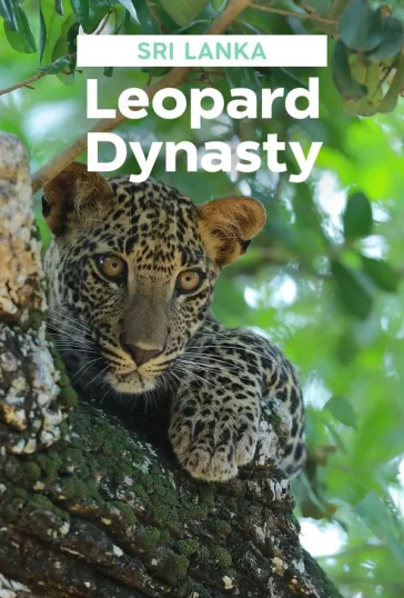 Sri Lanka: Leopard Dynasty